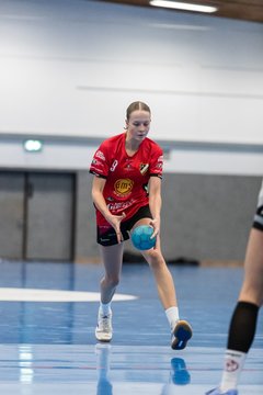 Bild 95 - wCJ TSV Ellerbek - AMTV Hamburg 2 : Ergebnis: 25:20